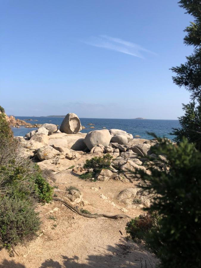 Villa Palombaggia à Porto-Vecchio  Extérieur photo