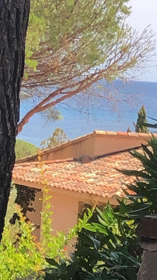 Villa Palombaggia à Porto-Vecchio  Extérieur photo